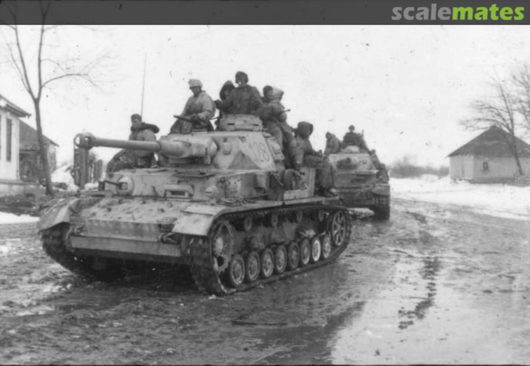 View album, image #1 View album, image #1