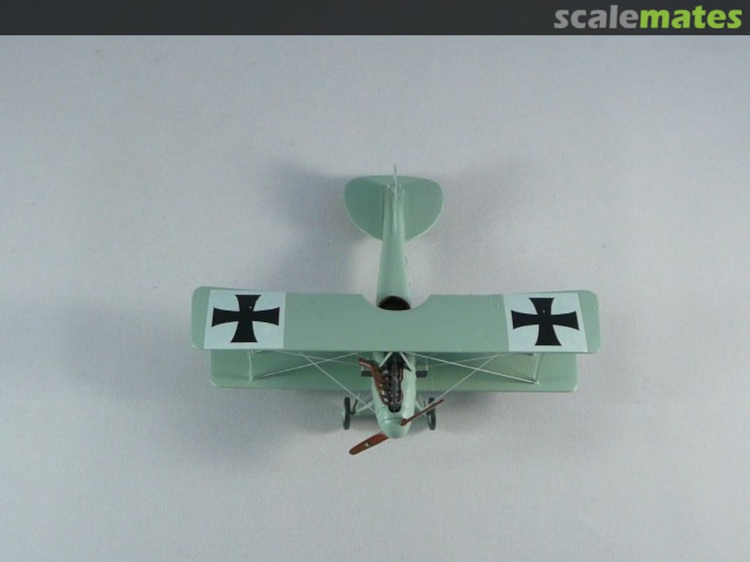 View album, image #1