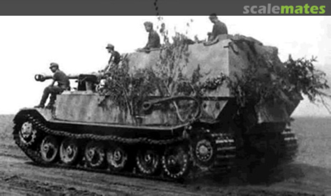 View album, image #1 View album, image #1