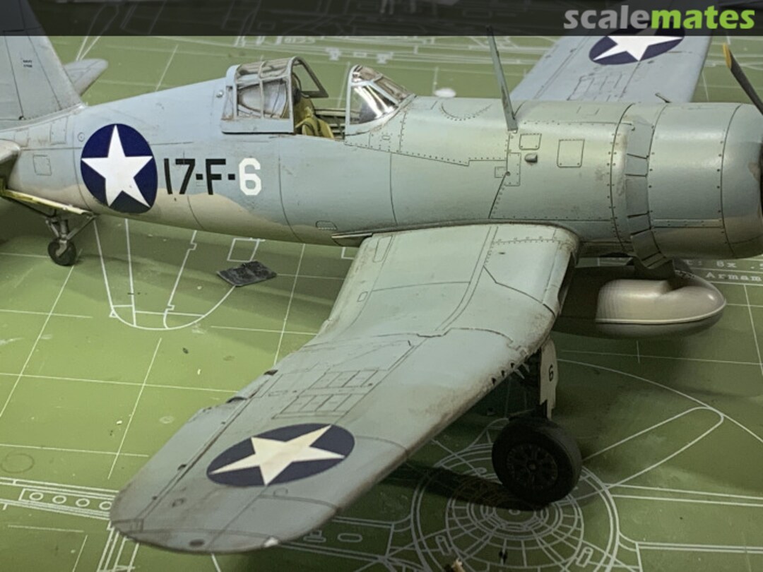 View album, image #4 View album, image #4