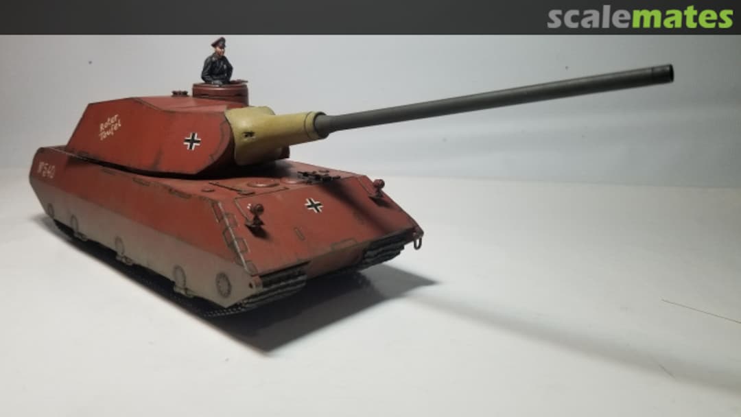 View album, image #1 View album, image #1