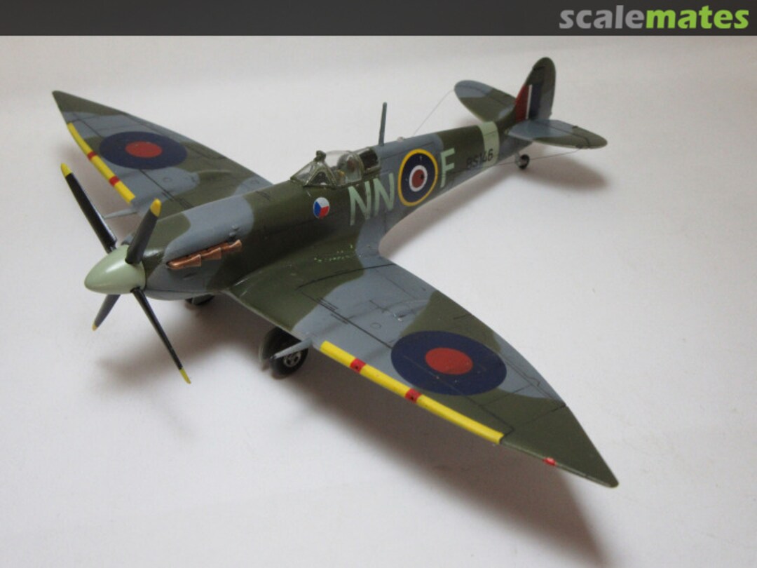 View album, image #1 View album, image #1