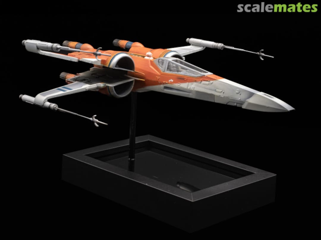 View album, image #2 View album, image #2