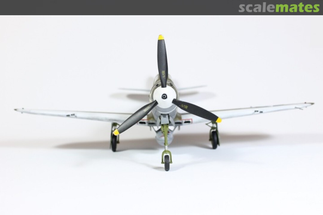 View album, image #1