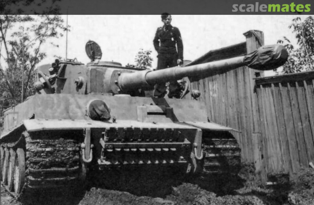 View album, image #1 View album, image #1