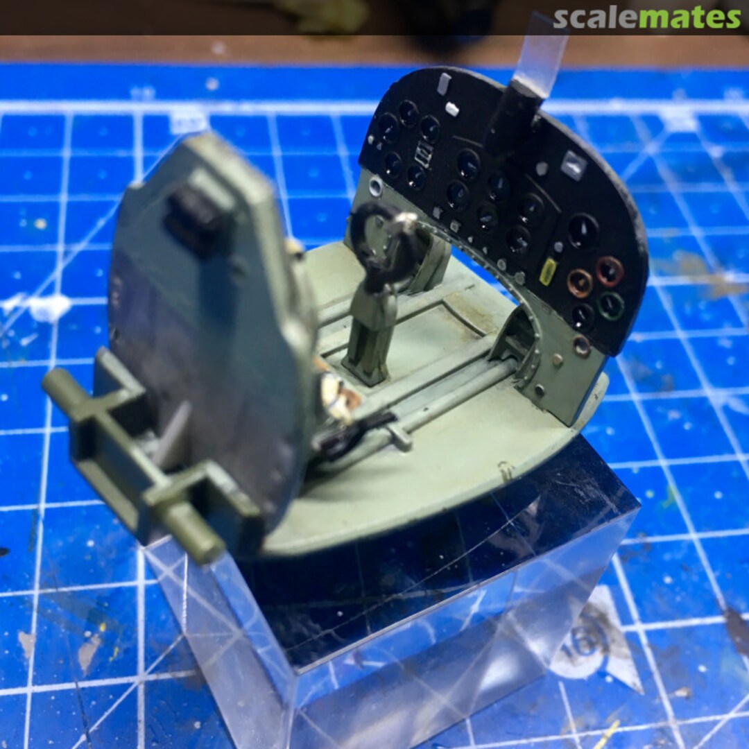 View album, image #5