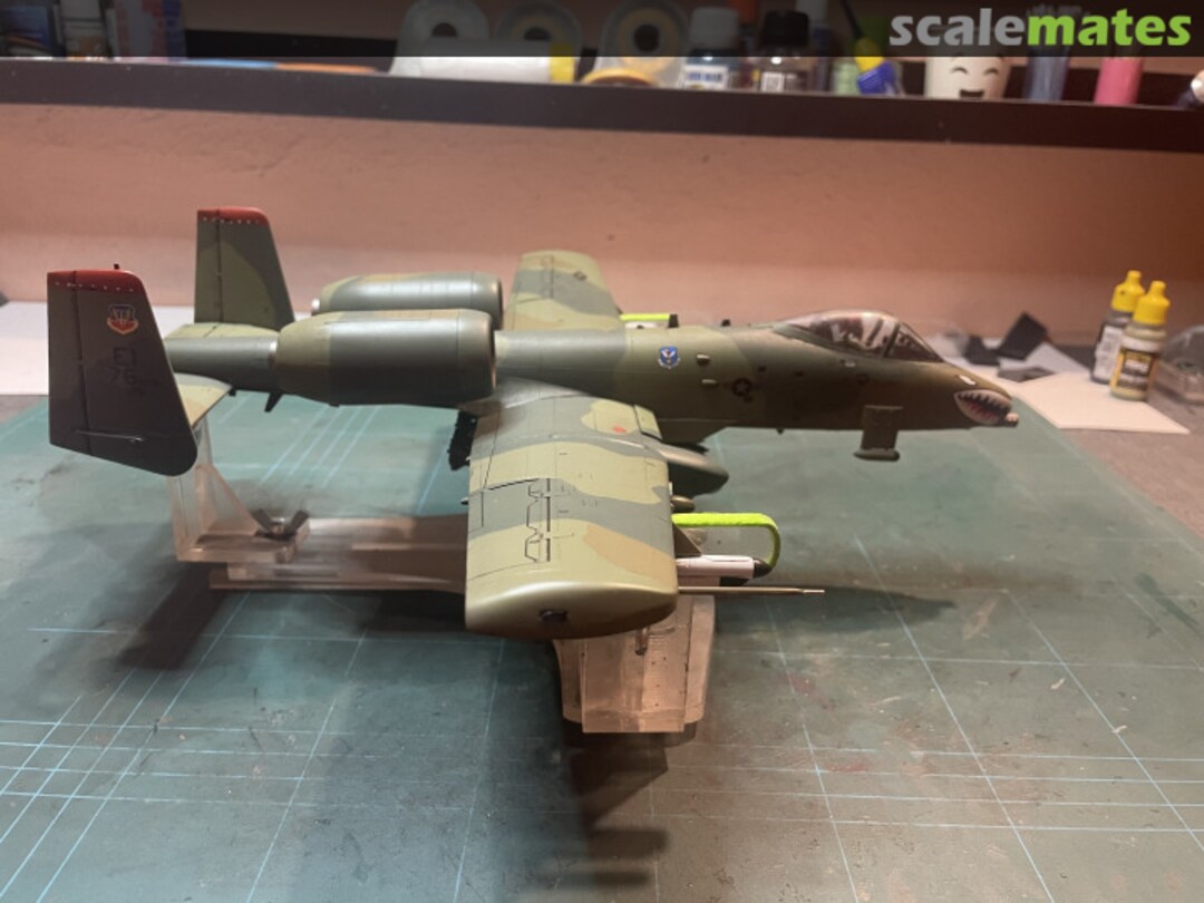 View album, image #2