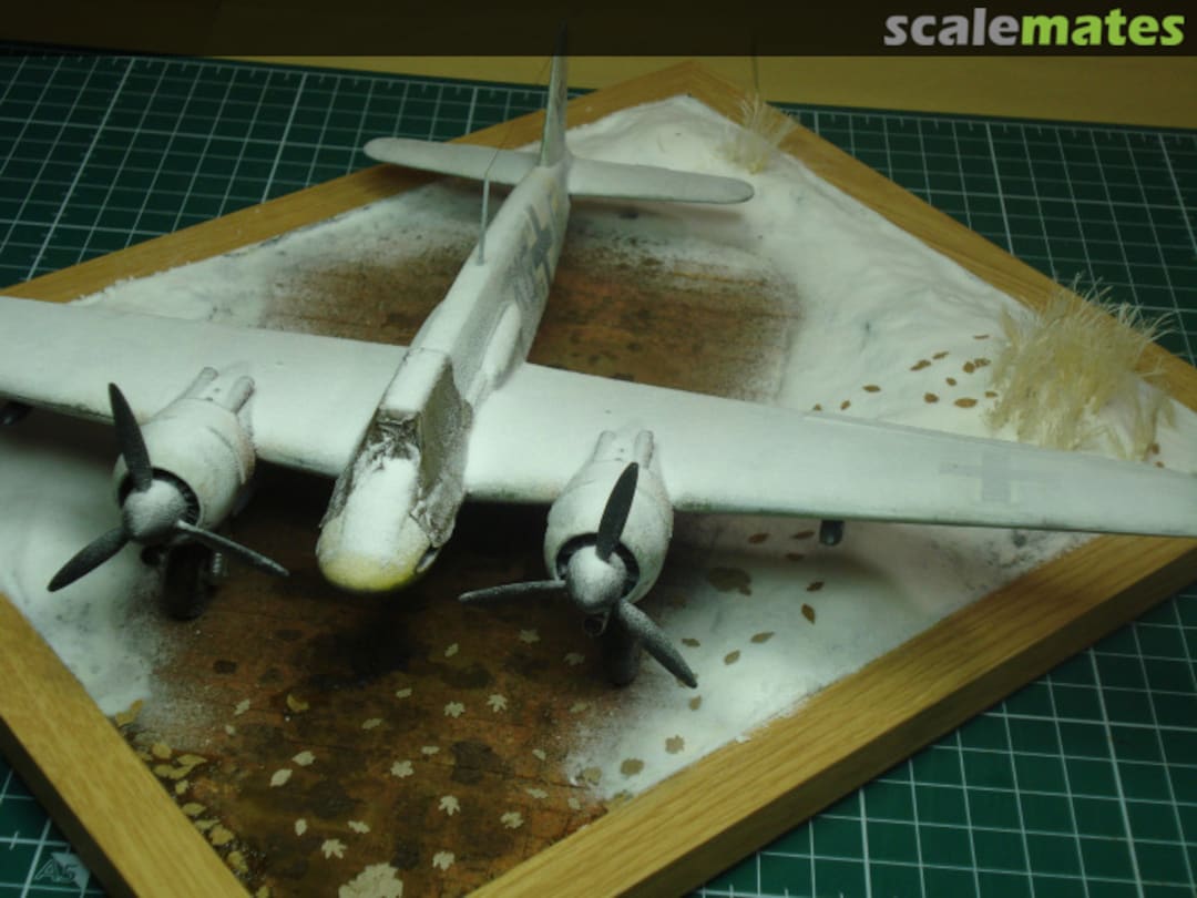 View album, image #50 View album, image #50