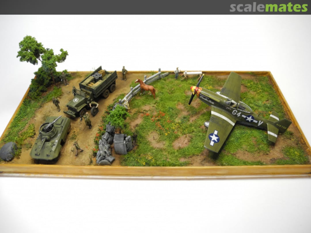 View album, image #80 View album, image #80