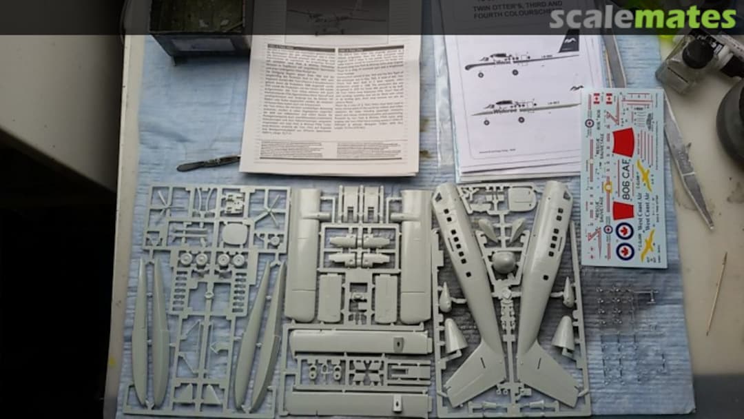 View album, image #1 View album, image #1