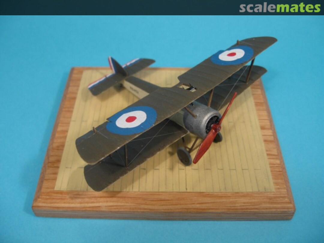 View album, image #1