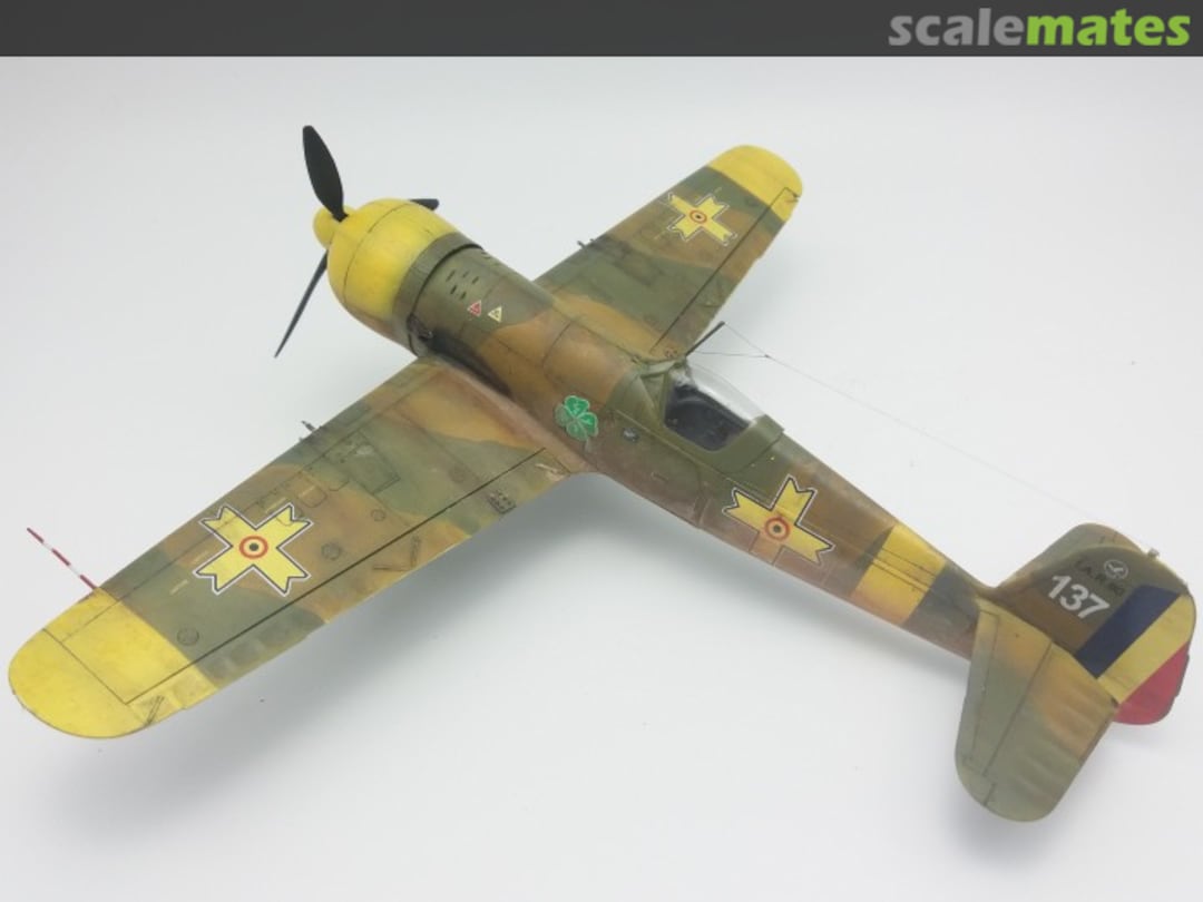 View album, image #1