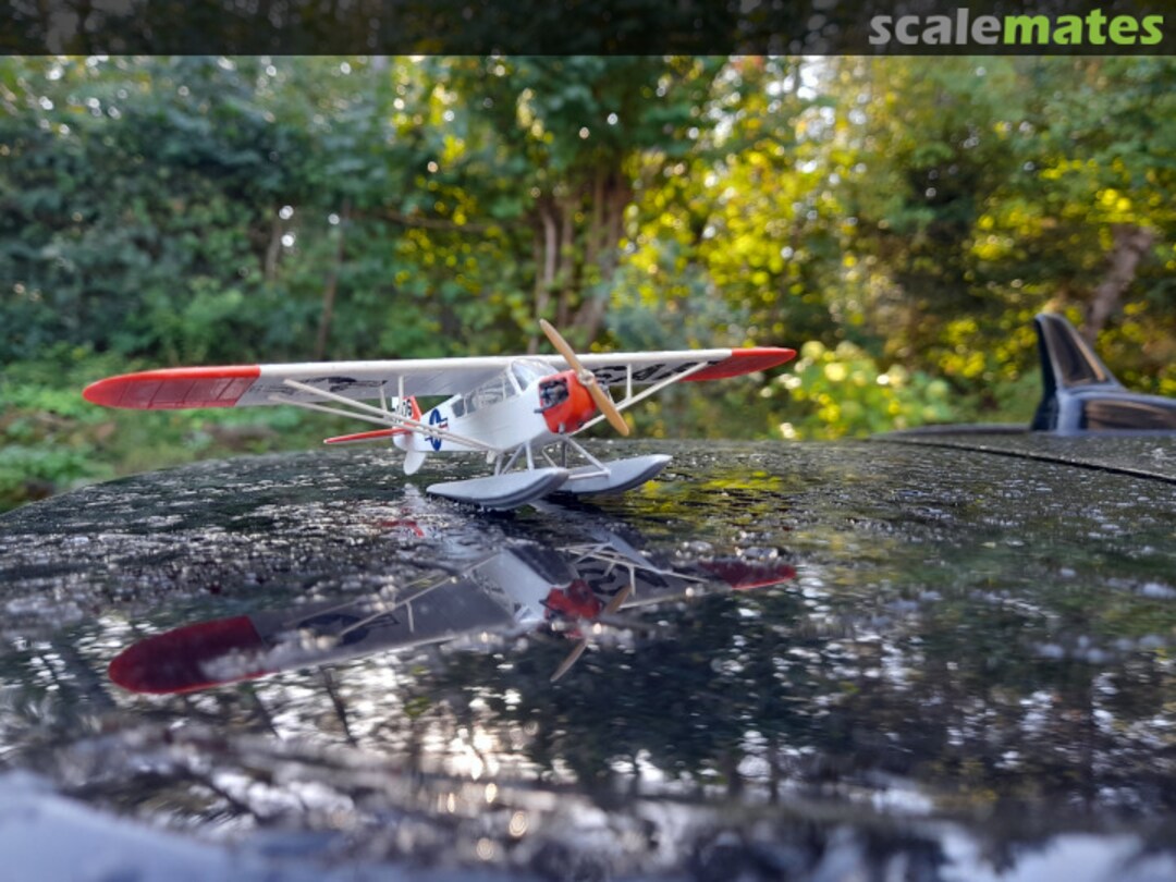 View album, image #17