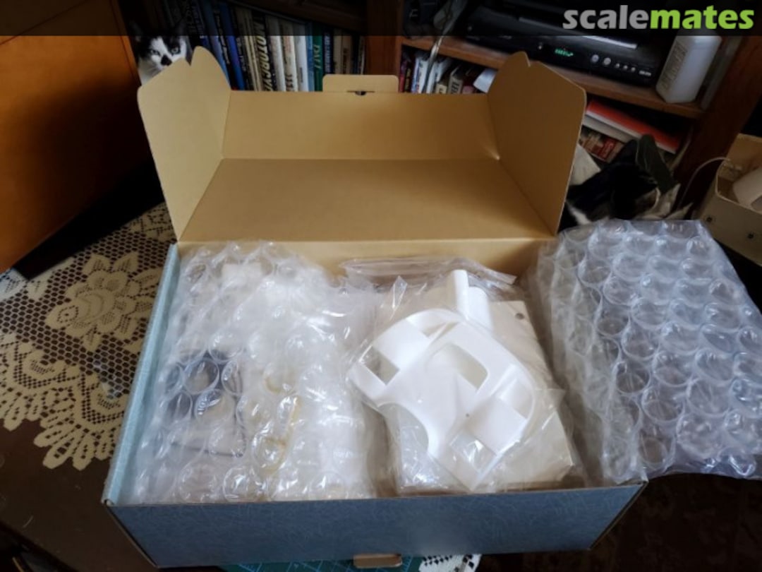 View album, image #1