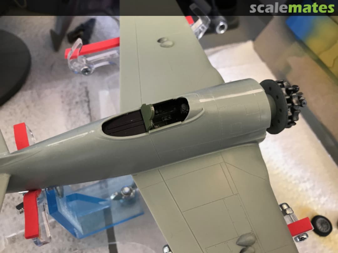 View album, image #1 View album, image #1