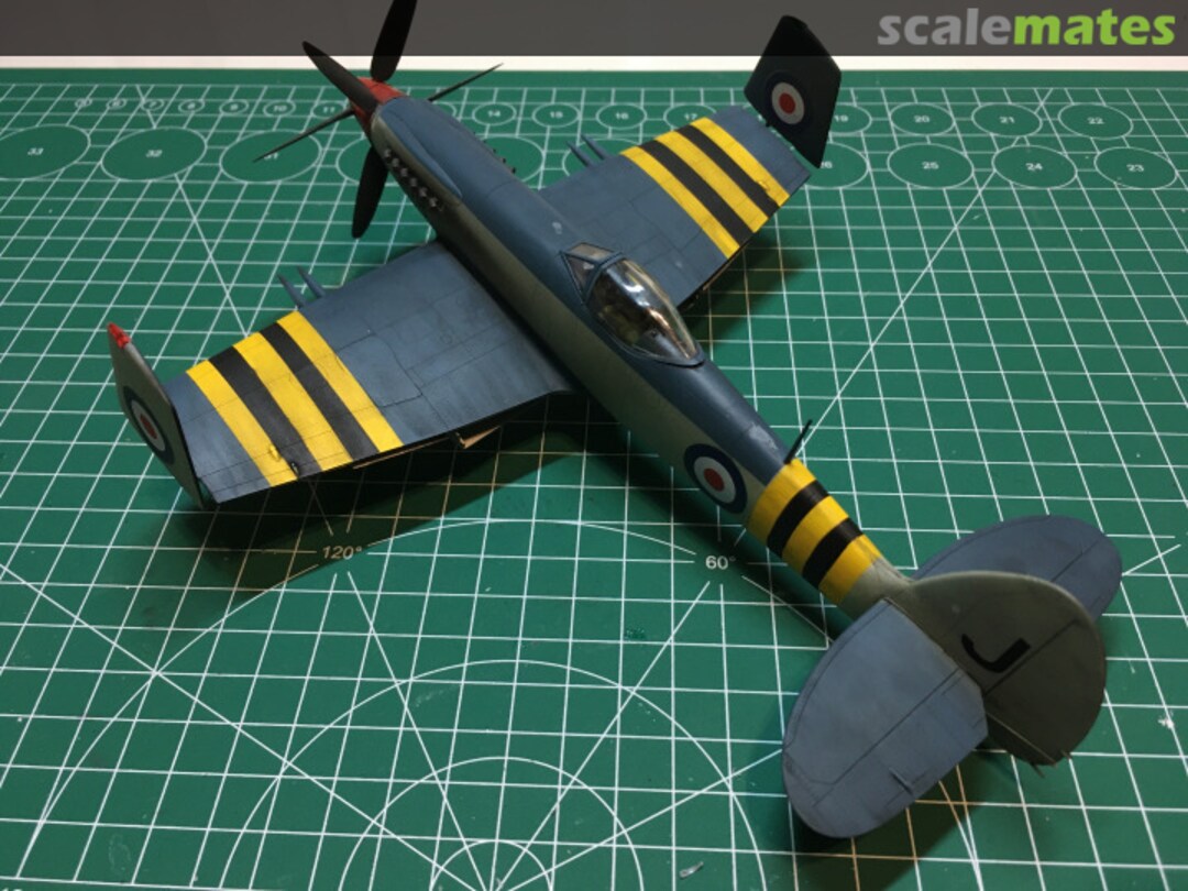 View album, image #31 View album, image #31