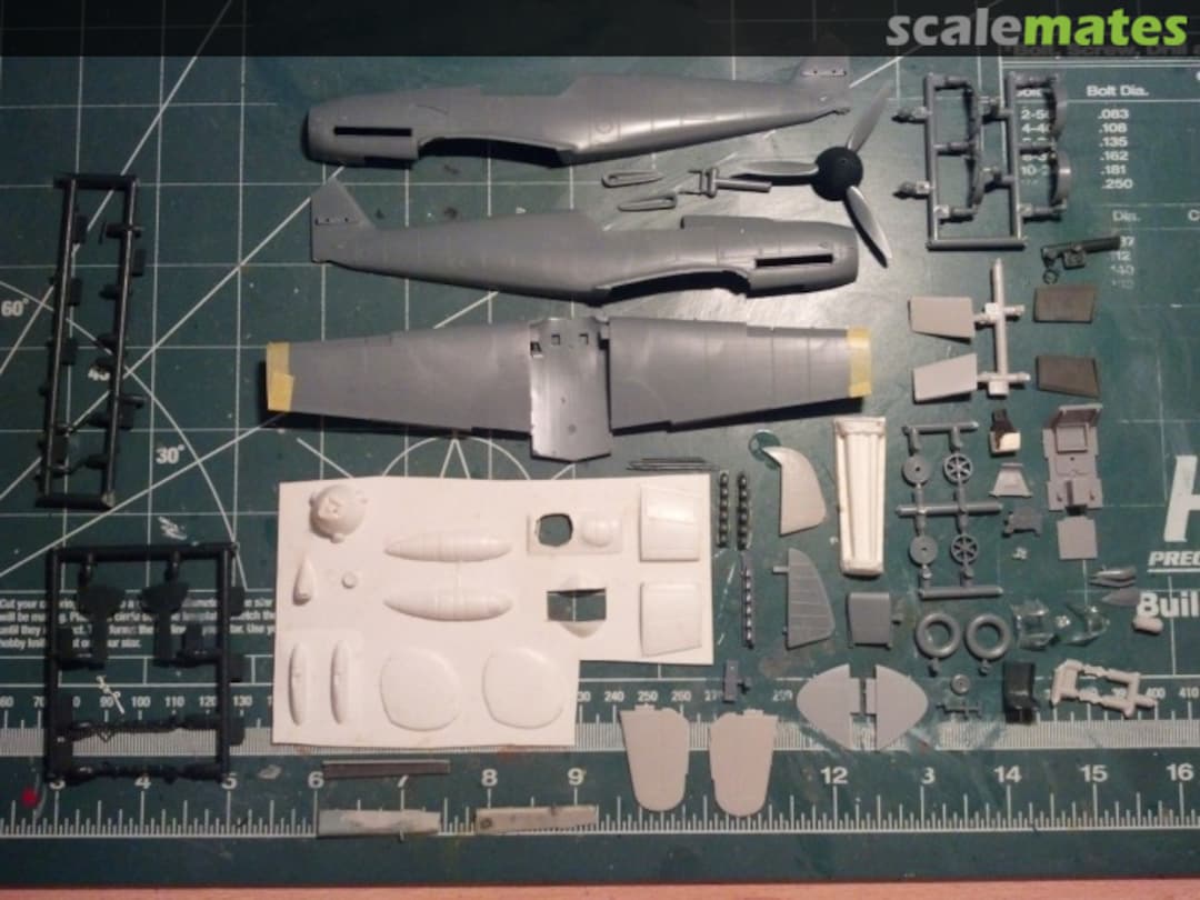 View album, image #1