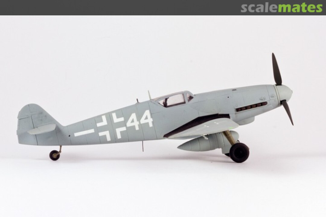 View album, image #1 View album, image #1