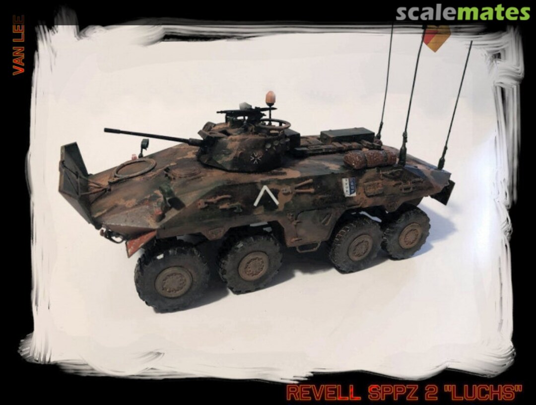 View album, image #1 View album, image #1