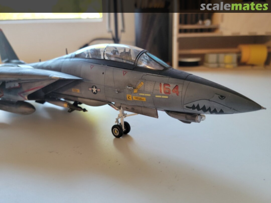 View album, image #9 View album, image #9