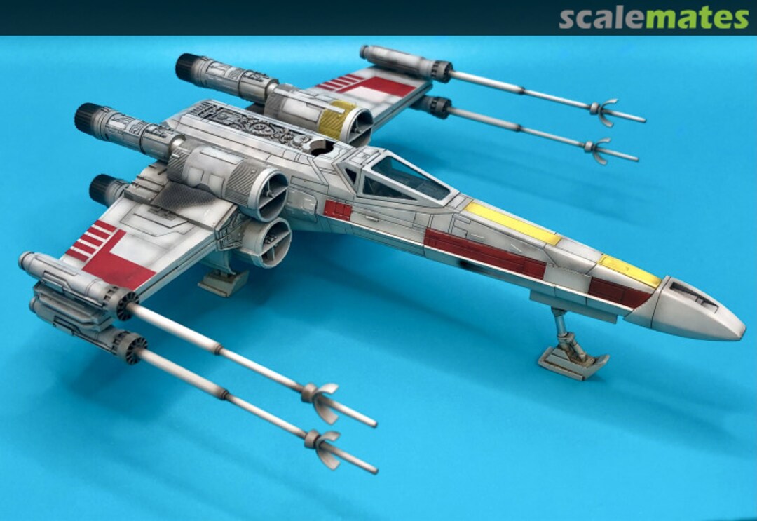 View album, image #1 View album, image #1