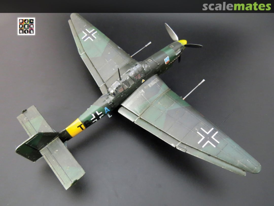 View album, image #1 View album, image #1