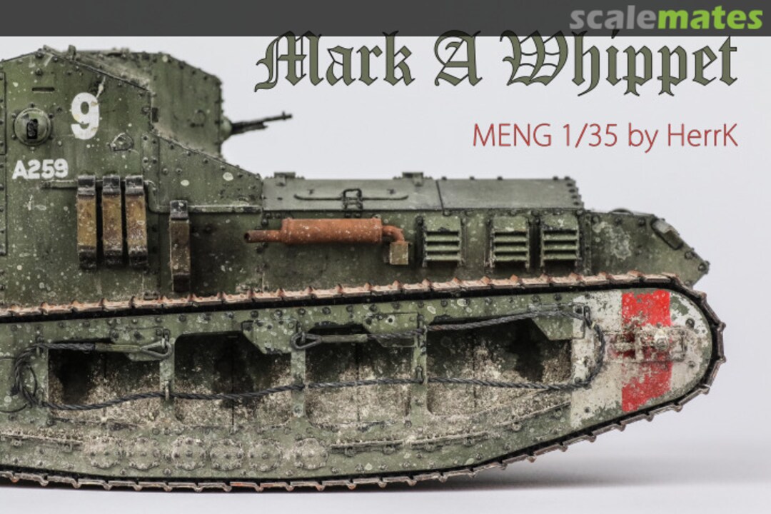 View album, image #14