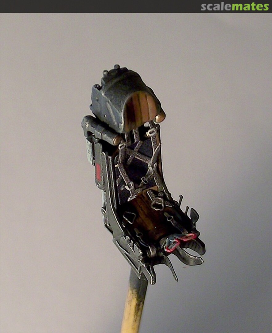 View album, image #1 View album, image #1