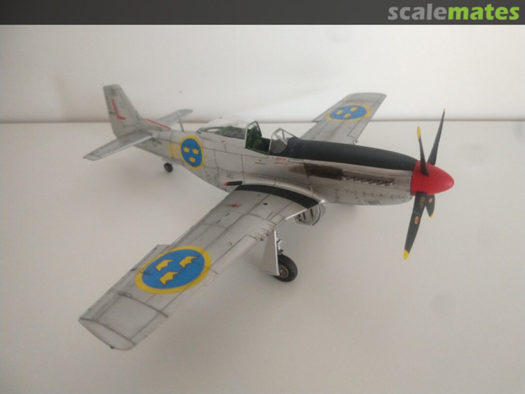 View album, image #1 View album, image #1