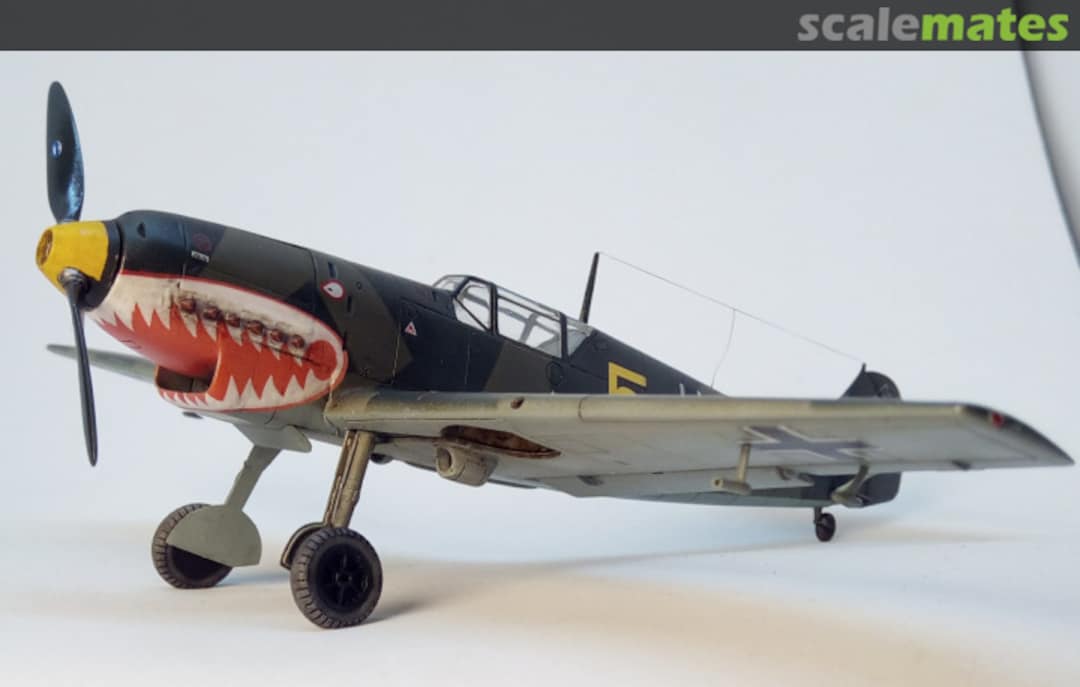 View album, image #12 View album, image #12