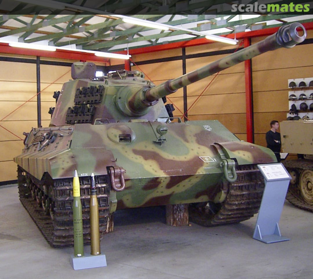 View album, image #1 View album, image #1