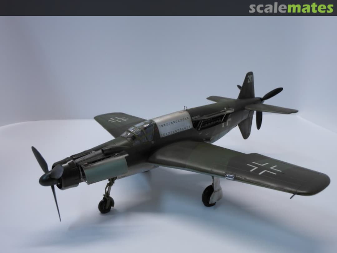 View album, image #1 View album, image #1