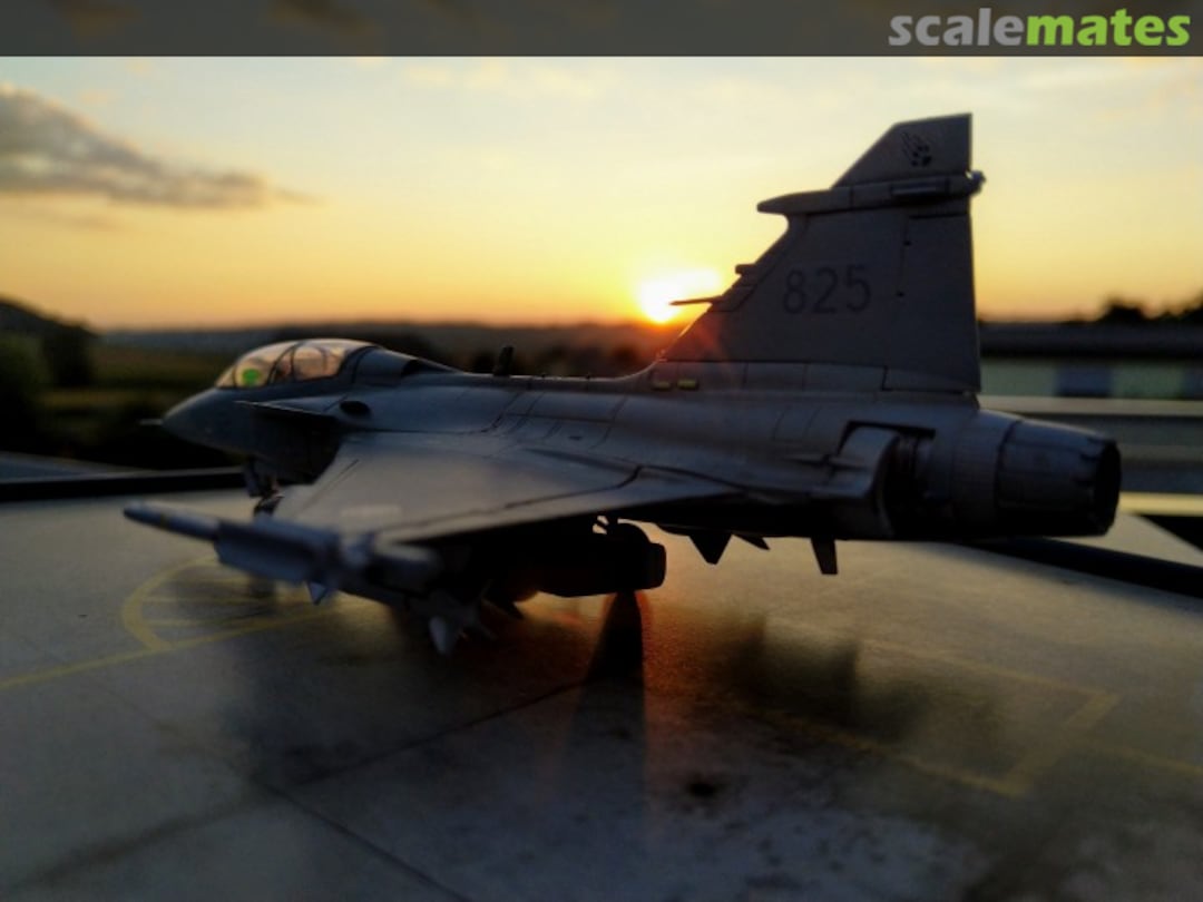 View album, image #8 View album, image #8