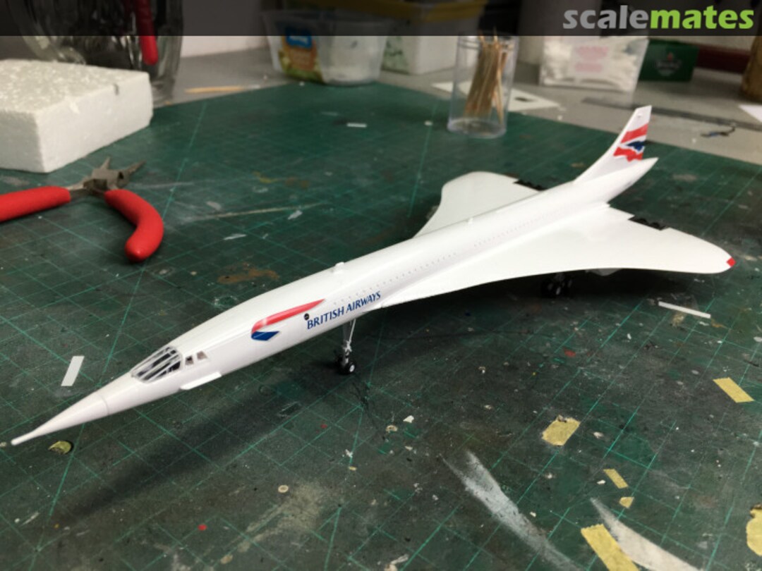 View album, image #1 View album, image #1