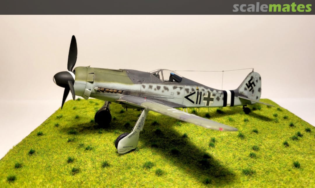 View album, image #2 View album, image #2