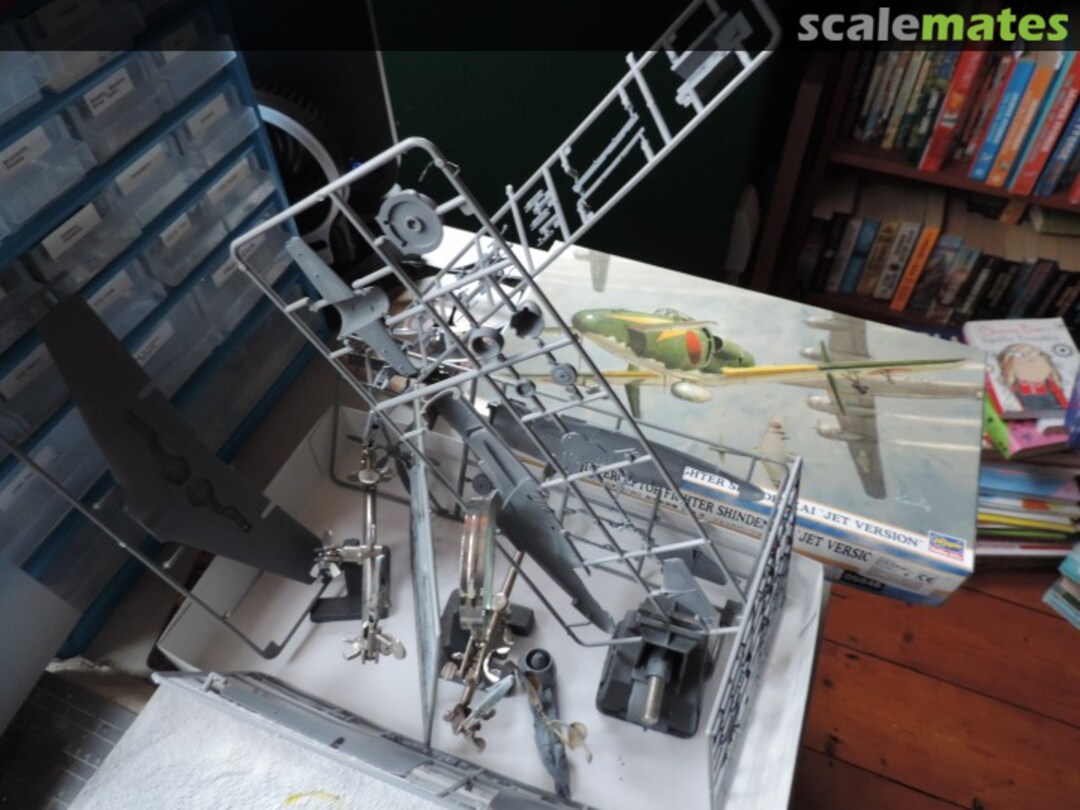 View album, image #1 View album, image #1