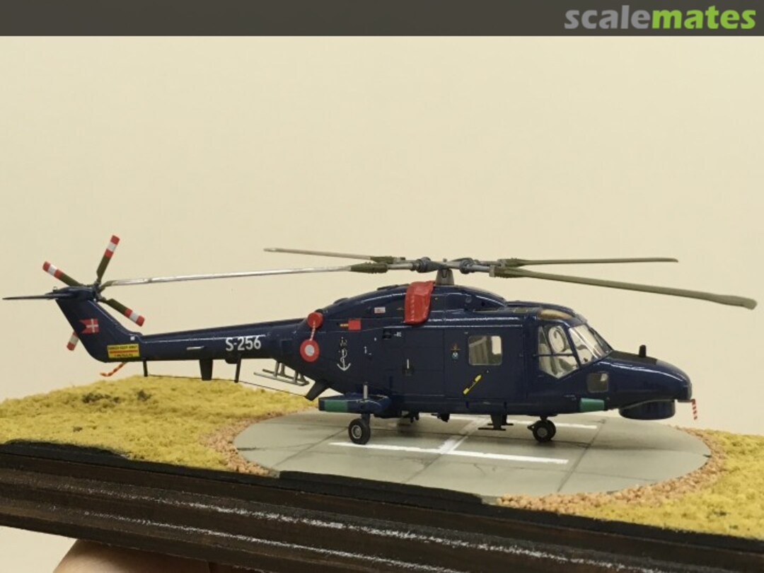 View album, image #1 View album, image #1