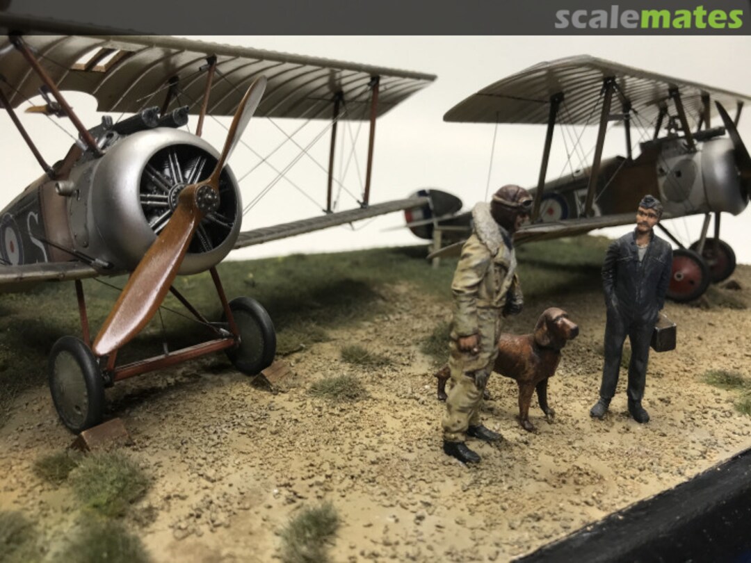 View album, image #17 View album, image #17