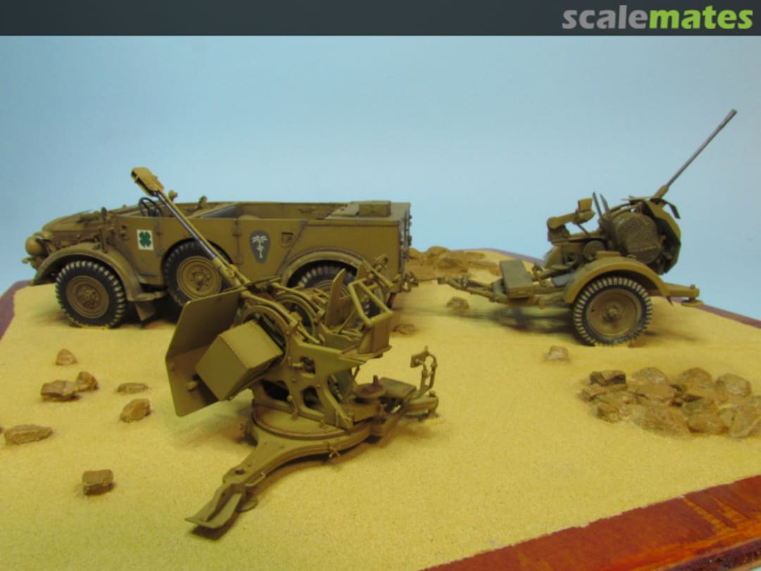 View album, image #9 View album, image #9