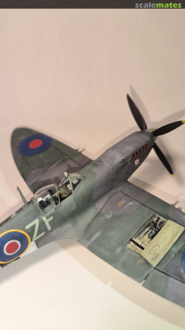 View album, image #14 View album, image #14