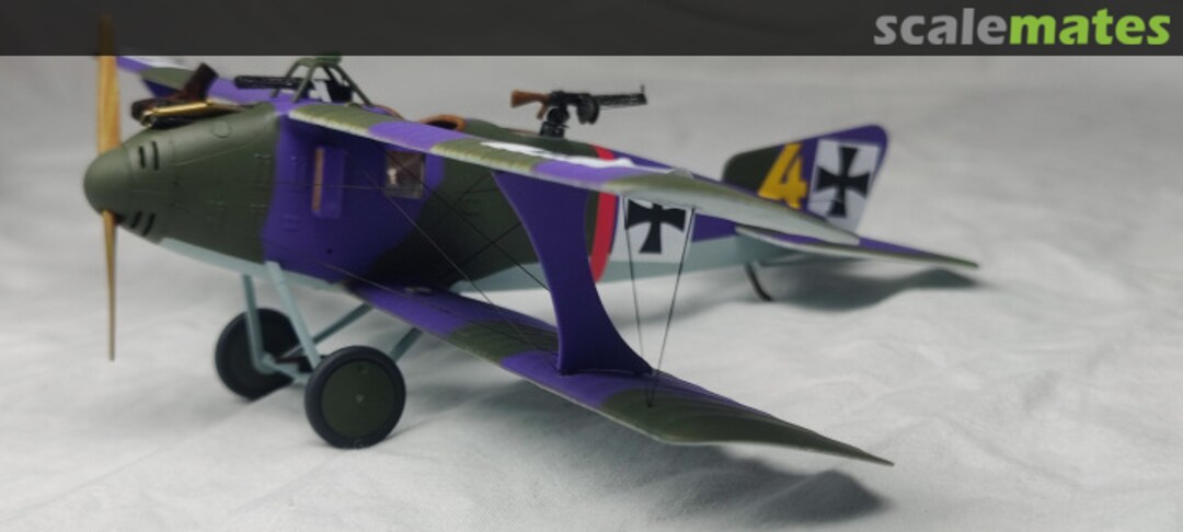 View album, image #1 View album, image #1