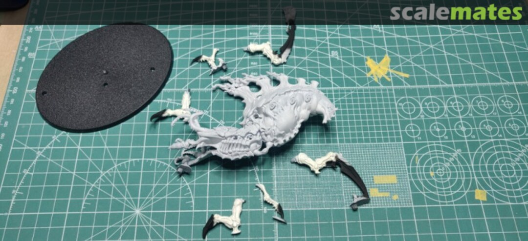 View album, image #1