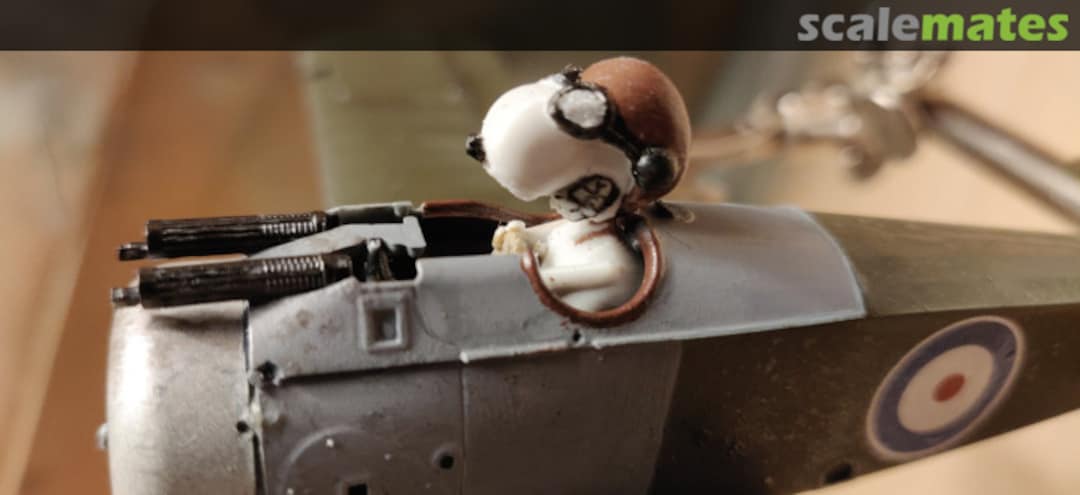 View album, image #2 View album, image #2