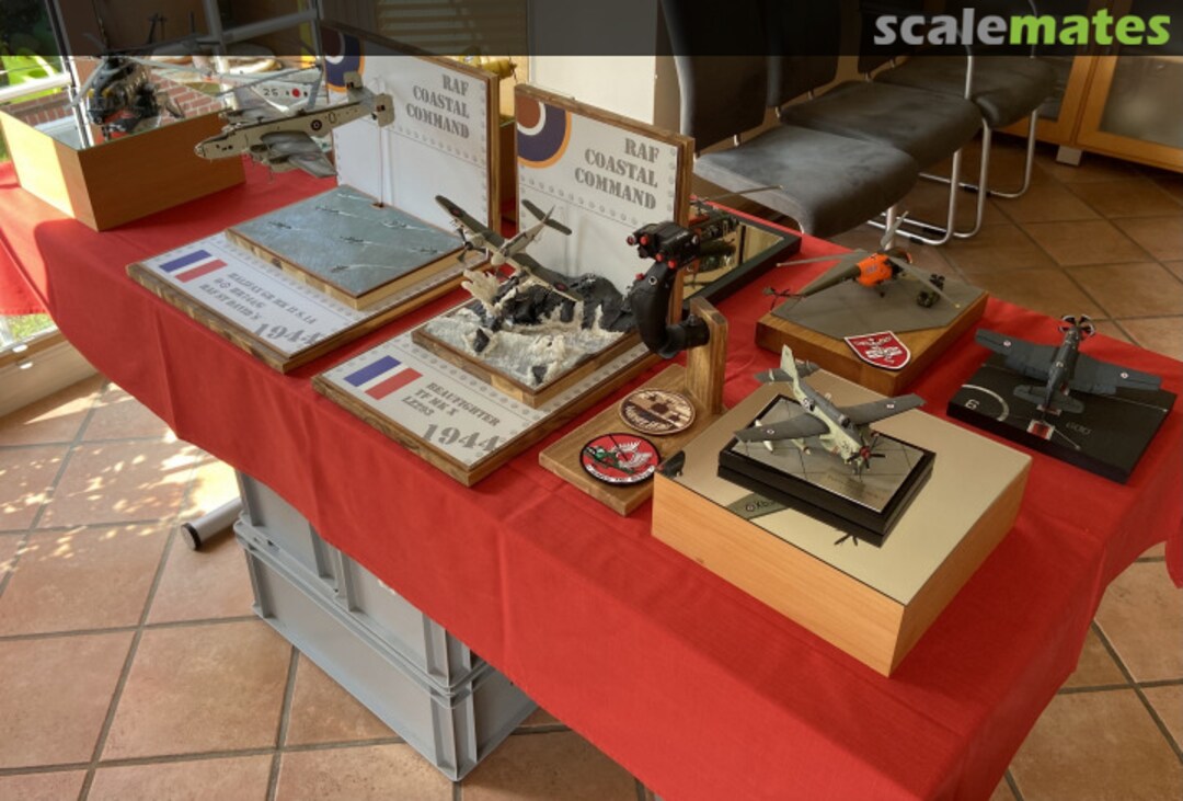 View album, image #1 View album, image #1