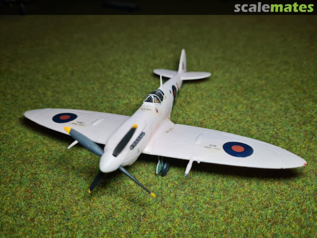 View album, image #37 View album, image #37