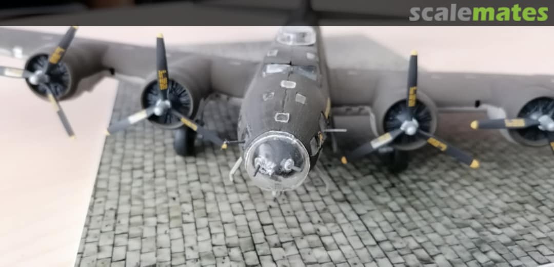 View album, image #1 View album, image #1