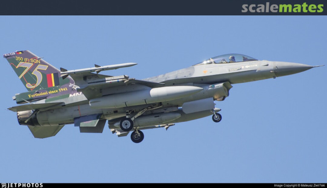 View album, image #4 View album, image #4