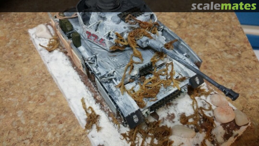 View album, image #1 View album, image #1