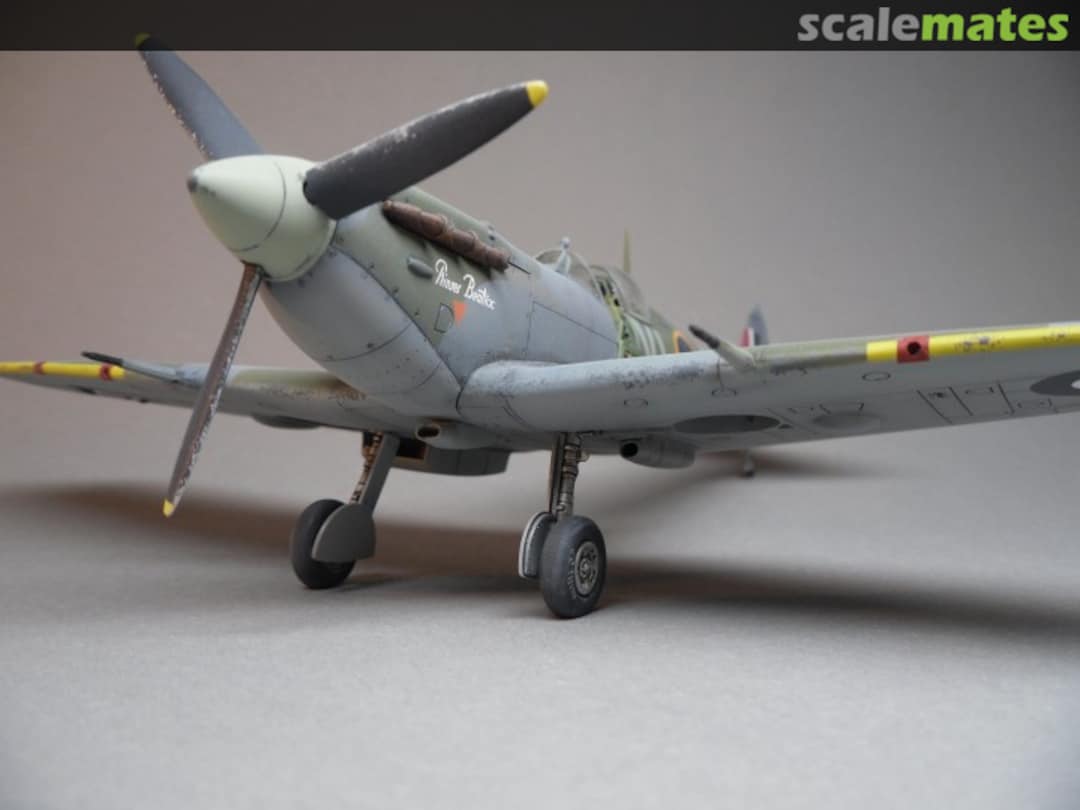 View album, image #7