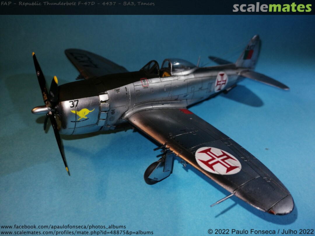 View album, image #85 View album, image #85